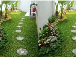 Punya Lahan Sempit? 8 Ide Taman Depan Rumah Minimalis yang Maksimal dan Asri