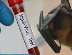 Waspada Virus Nipah: India Laporkan 5 Kasus Baru di Benggala Barat, Thailand dan Indonesia Tingkatkan Pengawasan