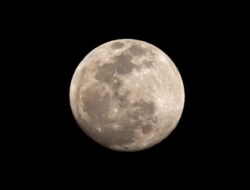 Bulan Purnama Snow Moon Akan Hiasi Langit Indonesia Malam Ini