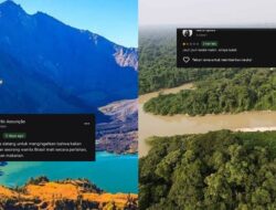 Hutan Amazon di Google Maps Dapat Rating 1 dari Netizen Indonesia