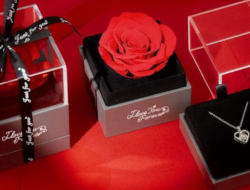 10 Ide Kado Valentine untuk Istri yang Romantis dan Berkesan di Tahun Ini