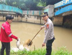 Kebakaran Gudang Pestisida di Tangerang Selatan Sebabkan Pencemaran Sungai Cisadane