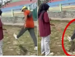 Pensiunan ASN di Blora Jadi Tersangka Usai Tendang Kucing hingga Tewas