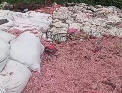 Viral Limbah Racik Uang Kertas di Bekasi, Cacahan Pecahan Rp100 Ribu Gegerkan Warga