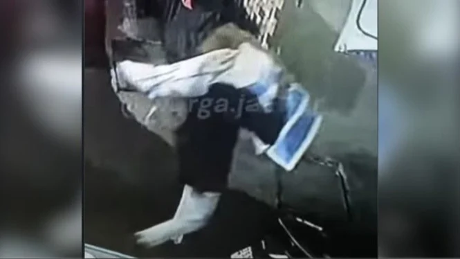 Viral Pria Gendong Biawak di Tambora