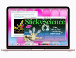 Apple Luncurkan MacBook Neo, Laptop Terjangkau dengan Desain Elegan dan Performa Tinggi