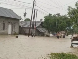 Banjir di Sulawesi Tengah Rendam Puluhan Rumah di Desa Labean