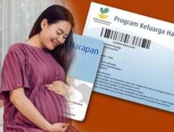 Cek Bansos Ibu Hamil 2026 Lewat Aplikasi Cek Bansos