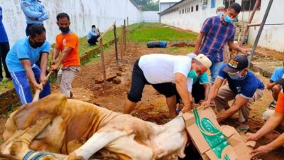 Doa Memotong Sapi Kurban