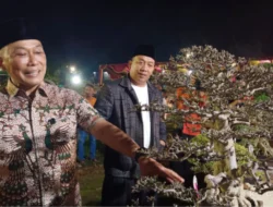 Festival Bonsai Nusantara Kembali Menghidupkan Pesona Seni Miniatur Pohon di Situbondo