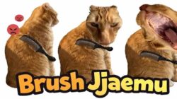 Brush Jjaemu