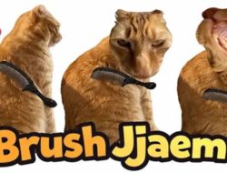 Brush Jjaemu, Game Menyisir Kucing Viral di Media Sosial