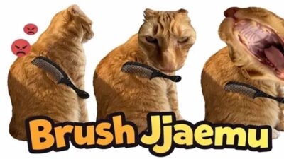 Brush Jjaemu, Game Menyisir Kucing Viral di Media Sosial
