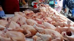 Harga Daging Ayam Potong