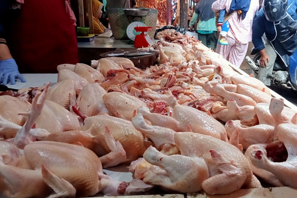 Harga Daging Ayam Potong