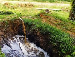 Transformasi Limbah Sawit: Dari Beban Lingkungan Jadi Aset Strategis Ketahanan Pangan Nasional