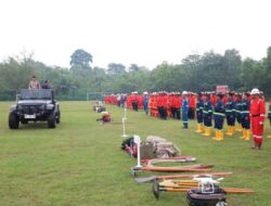 Luas Karhutla 2026 Tembus 52 Ribu Hektare, Menteri LH Soroti Kesiapsiagaan Daerah