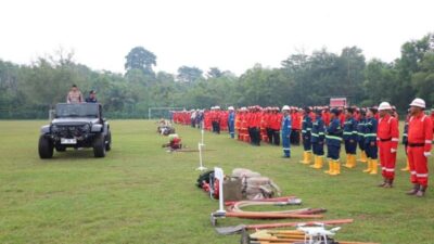 Luas Karhutla 2026 Tembus 52 Ribu Hektare