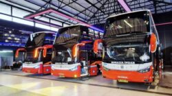 PO Rosalia Indah Hadirkan First Class Double Decker