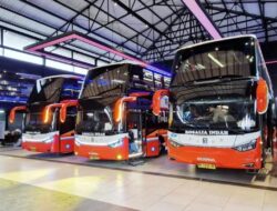 PO Rosalia Indah Hadirkan First Class Double Decker Jakarta–Surabaya dengan Standar Sultan 2026