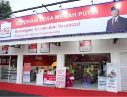 Pengumuman Koperasi Merah Putih: Hasil Seleksi Administrasi Manajer Kopdes 2026 Dirilis 26–27 April