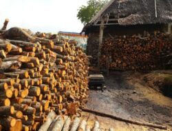 Kapolda Riau Murka, Pengusaha Arang Diduga Biang Kerusakan Mangrove