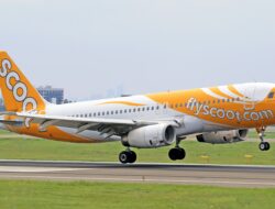 Penumpang Scoot Airlines Ditangkap atas Dugaan Pelecehan Seksual