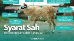 Persyaratan Hewan Kurban