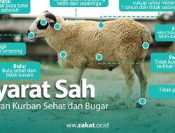 5 Persyaratan Hewan Kurban yang Wajib Dipahami Umat Muslim