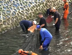Pramono Anung Turun Tangan Bersihkan Ikan Sapu-sapu di Lima Wilayah Jakarta
