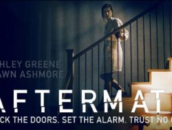 Sinopsis Film Aftermath 2017, Drama Duka dan Balas Dendam