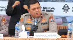 Wakapolda Riau Ungkap 29 Kasus Pertambangan Emas Tanpa Izin