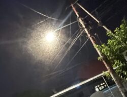 Wereng Jagung Bikin Resah Warga Kota Bima, Ini Penjelasan Dinas Pertanian