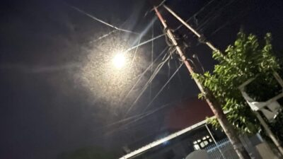 Wereng Jagung Bikin Resah Warga Kota Bima