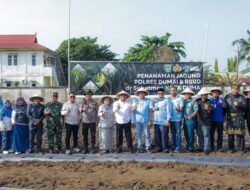 Green Policing, Pemko Dumai Dukung Penanaman Jagung di RSUD dr Suhatman