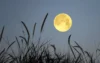 Purnama Flower Moon Mei 2026, Fenomena Langit yang Bisa Disaksikan dari Indonesia