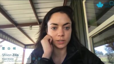 Shivon Zilis di Tengah Konflik Elon Musk dan OpenAI
