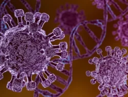 Wabah Hantavirus di MV Hondius: Kematian di Atlantik dan Risiko bagi Indonesia