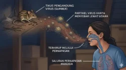 Wabah Hantavirus di MV Hondius