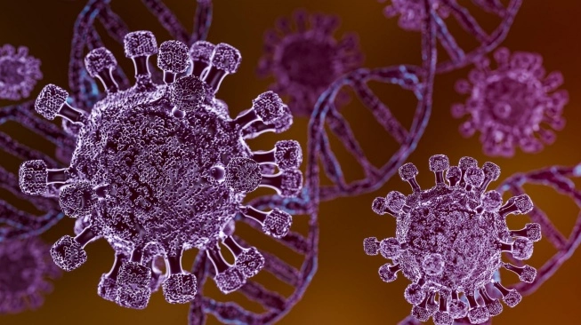 Wabah Hantavirus