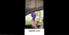 Ini Video Tukang Cilok Viral Bebas Remas yang Jadi Buruan Warganet