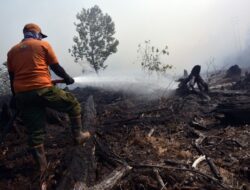 Siaga Karhutla di Riau: Upaya Pemadaman Diperketat untuk Lindungi Permukiman
