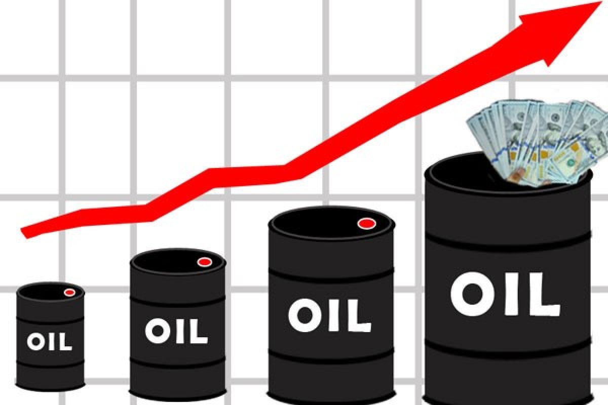 Harga Minyak Dunia
