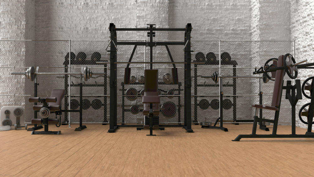 Bodimax Alat Fitness Rumahan
