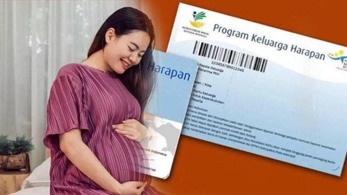 Cek Bansos Ibu Hamil 2026 Lewat Aplikasi Cek Bansos