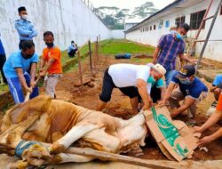 Doa Memotong Sapi Kurban, Panduan Lengkap Ibadah dan Tata Cara Sesuai Sunnah