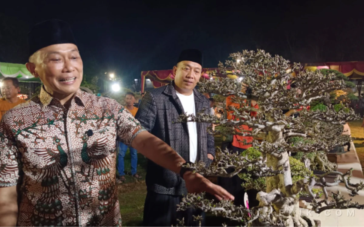 Festival Bonsai Nusantara Situbondo
