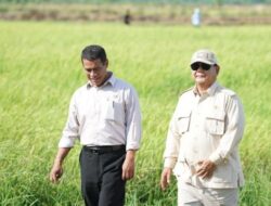 Ketahanan Pangan Indonesia Kokoh di Tengah Tantangan Global